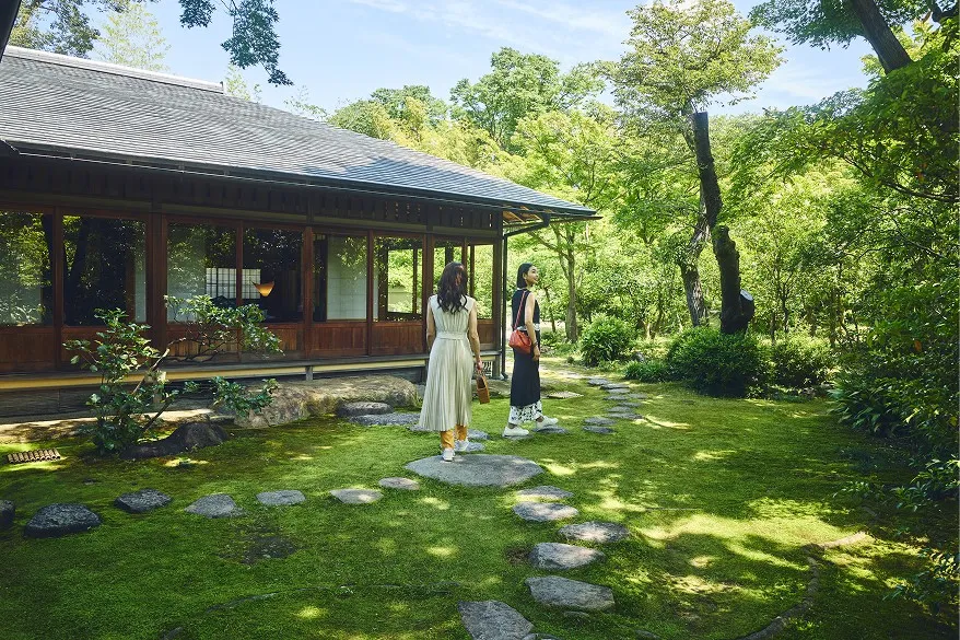 青々とした苔と美しい木々に囲まれた日本庭園を、散策する2人の女性の後ろ姿。